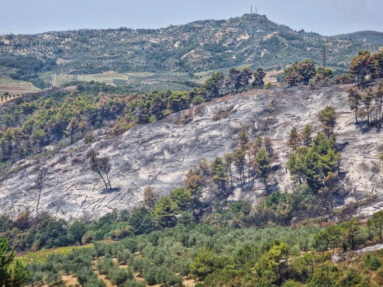 Ministria e Mbrojtjes për situatën e zjarreve: 24 vatra në 24 orë, 7 mbeten aktive. 472 forca operacionale në terren
