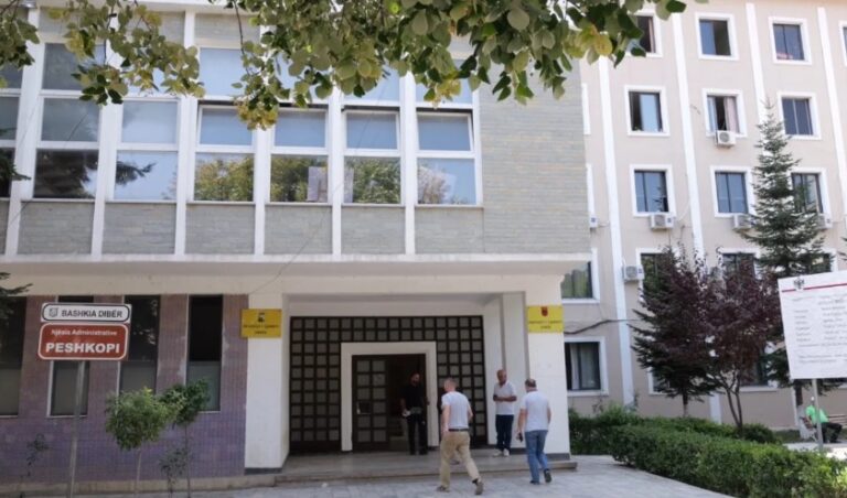E mori rrjedhja e lumit, Task-Forca kërkon njoftim paraprak për hapjen e portave të digave pas mbytjes së 7-vjeçares