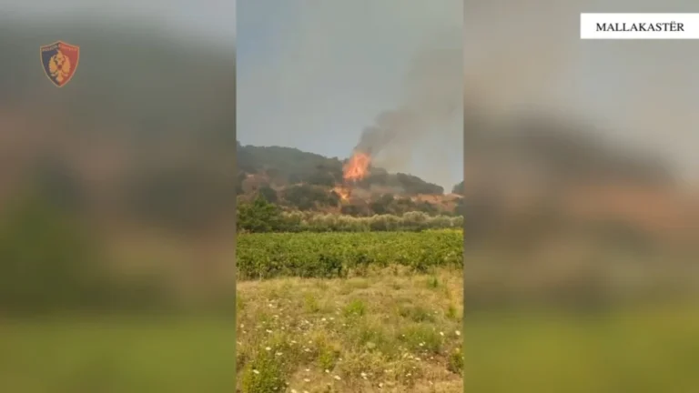 Zjarr masiv në Mallakastër, rrezikohen banesat në fshatin Koilac