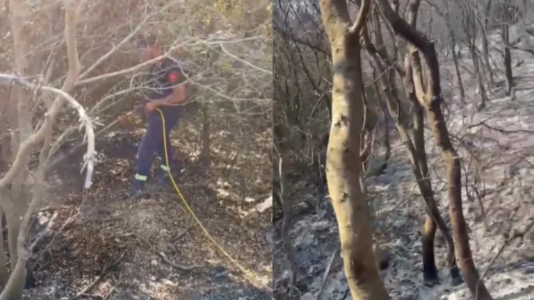 Zjarret në Mallakastër, përmirësohet situata por era mban në gatishmëri forcat në terren