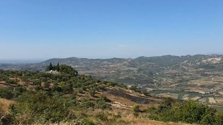 Neutralizohet zjarri në Drenovë të Mallakastrës, mbi 50 efektivë në terren