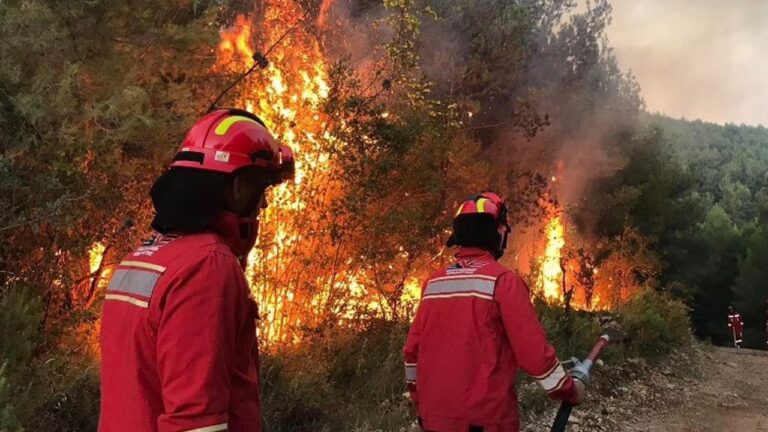 12 vatra zjarri brenda pak orësh, Ministria përditëson informacionin: Flakët riaktivizohen në Dajt dhe Bulqizë