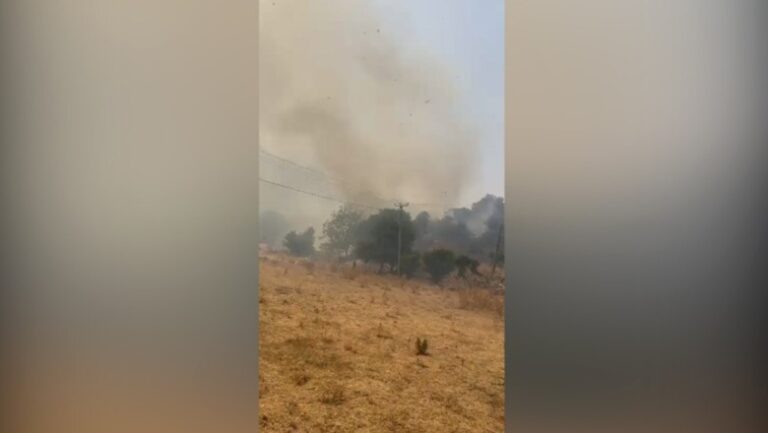 Bie zjarr në Vranisht të Himarës, forcat zjarrfikëse në terren
