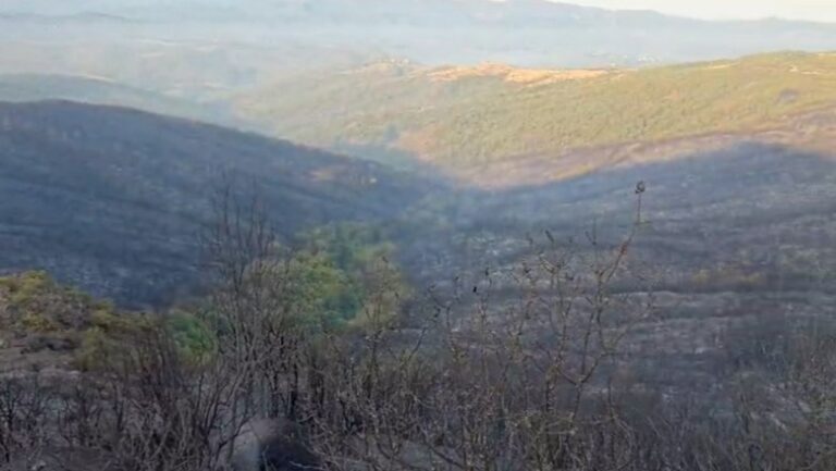 Një ushtar plagoset gjatë shuarjes së flakëve, ministri Nufi shkon në spital