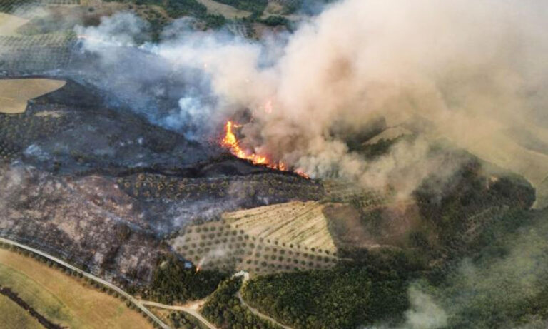 Ministria e Mbrojtjes për situatën e zjarreve: 33 vatra në 24 orë, 8 mbeten aktive. Në terren 535 forca operacionale
