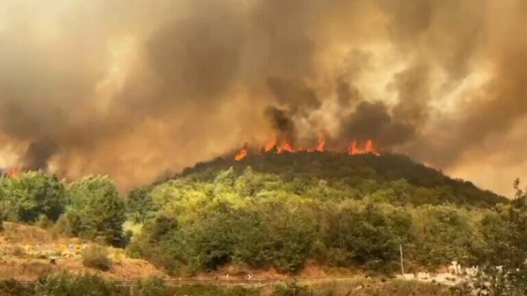 Situatë kritike/ Radostina nën kërcënimin e flakëve, nis evakuimi i banorëve