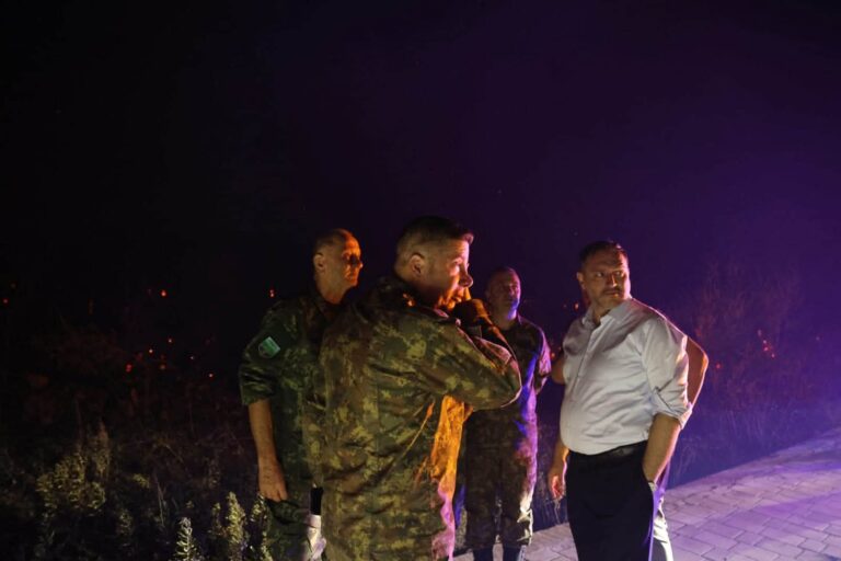 Natë tmerri në Himarë nga zjarret, turistët morën valixhet. Ministri Nufi: 171 efektivë në terren