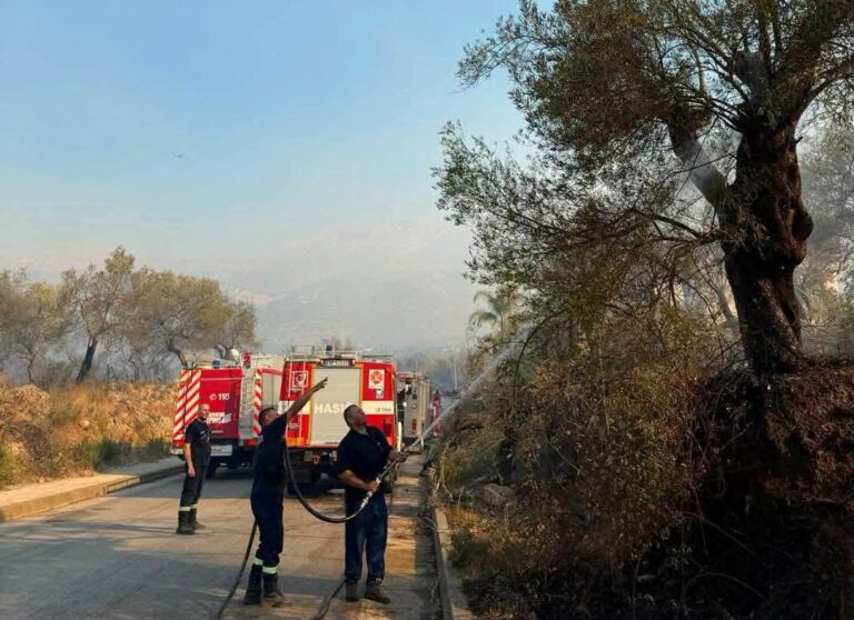 Rama për zjarret në Himarë e Fier: Situata nën kontroll, nis vlerësimi i dëmeve