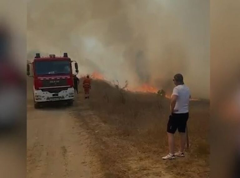 Zjarri përhapet me shpejtësi drejt Peshtanit të Madh, tërhiqen zjarrfikësit