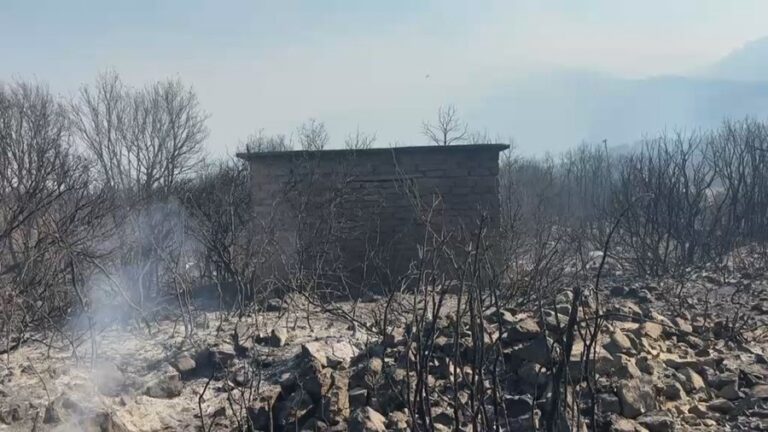 Himarë, 6 banesa të djegura dhe 30 banorë të evakuuar. Policia kap një çoban