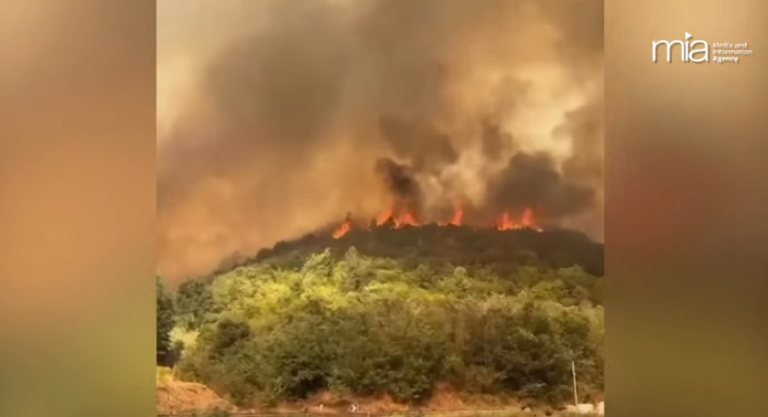 39 vatra në 24 orët e fundit, situata më problematike në Fier dhe Himarë. Mbi 800 forca të angazhuara në terren