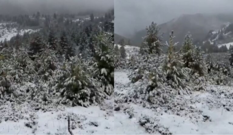Reshjet e para të borës zbardhin Bjeshkët e Tropojës