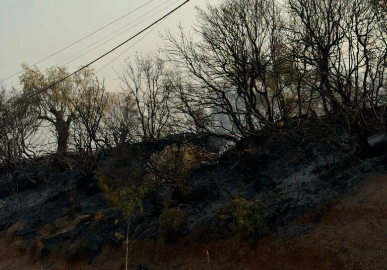 Himarë, nis vlerësimi i dëmeve pas zjarrit: Bashkia identifikon familjet e prekura