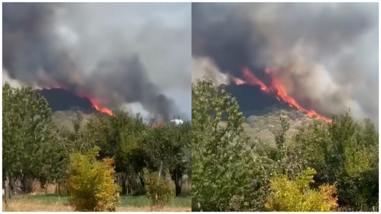 Zjarr i madh në Meselimit të Shkodrës, flakët rrezikojnë edhe banesa