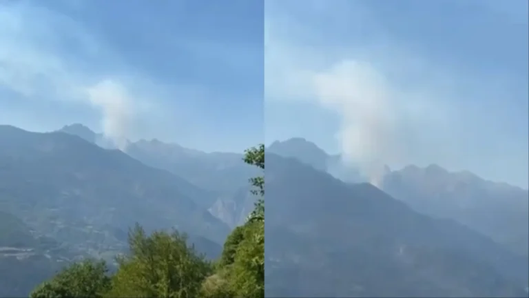 Flakët përfshijnë pyjet shekullore në Tropojë, zjarr në Nikaj-Mërtur