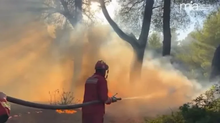Zjarret në Shqipëri, 11 vatra ende aktive pas 24 orësh