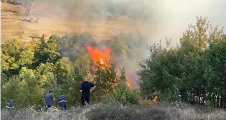 Mat, ekipet zjarrfikëse ndërhyjnë për shuarjen e flakëve
