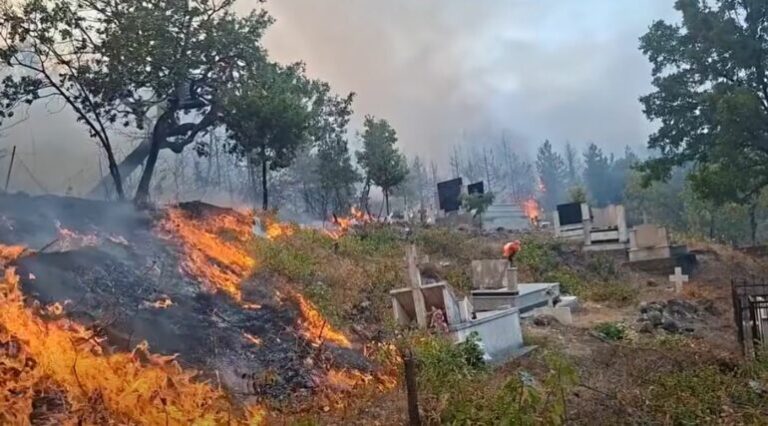 VIDEO/ Gjekmarkaj për zjarrin në Ungrej: Rreziku ka mbërritur pranë shtëpive, kërkohet ndërhyrje urgjente