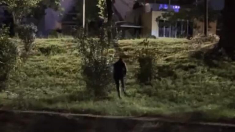 VIDEO/ Përplasje në protestë, kush është deputeti i PD që donin ta hidhnin në Lanë?