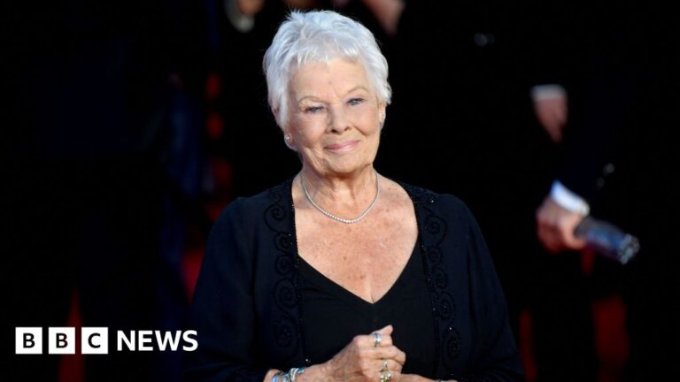 Dame Judi Dench: Her Eyesight Condition Has Left Her Unable to Act or Read