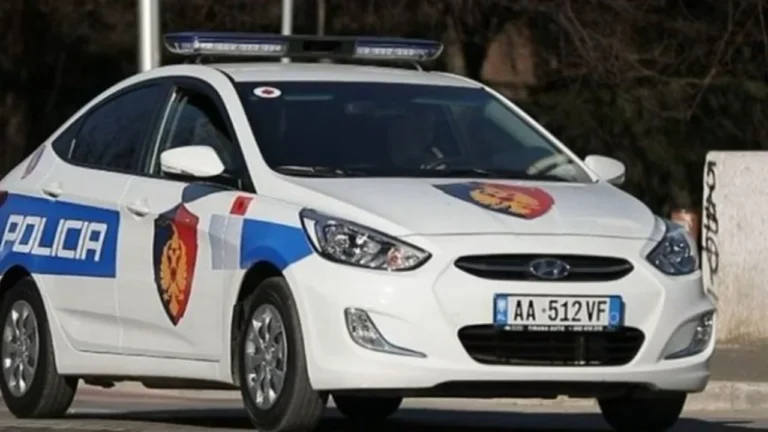 Të armatosur dhe të maskuar si policë, disa persona grabisin një banesë