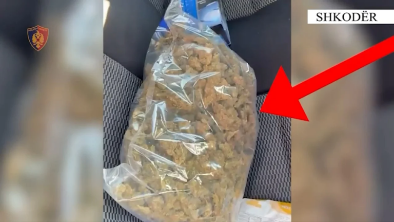 Shkodër, kapet me drogë pranë zonës së sigurisë së shkollave, arrestohet 28-vjeçari