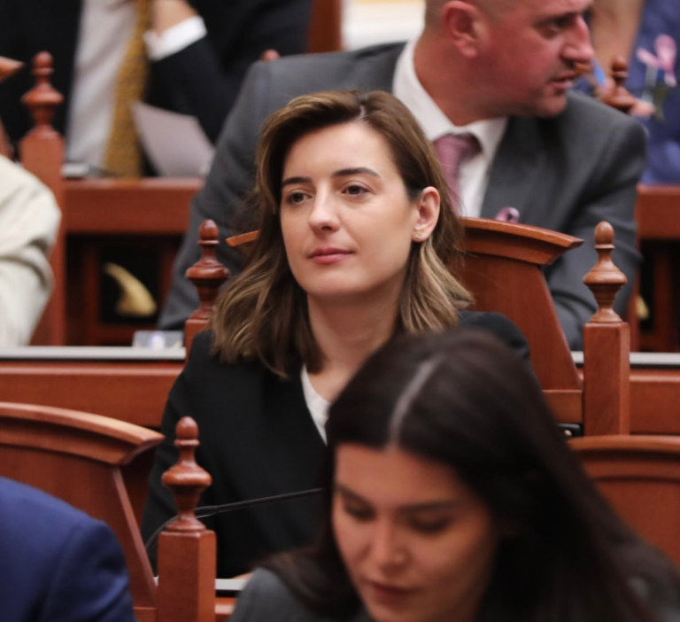 Replikë mes Çaushit dhe Baçit, deputetja e PS ironizon Bardhin: Fierakët janë meraku i kreut të grupit