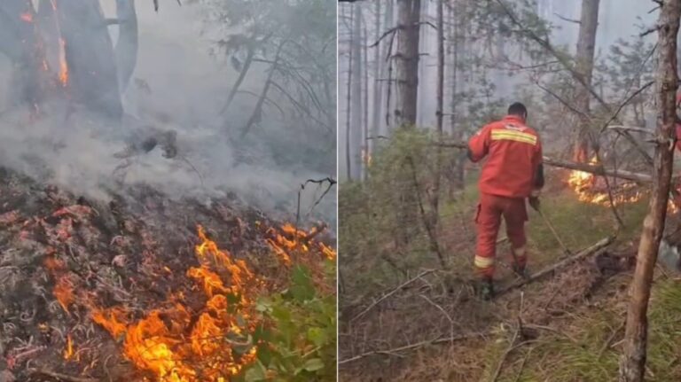 Riaktivizohet vatra e zjarrit në malet e Gjinarit në Elbasan