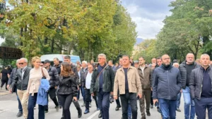 PD nis marshimin drejt Kryeministrisë, deputetët demokratë në krye