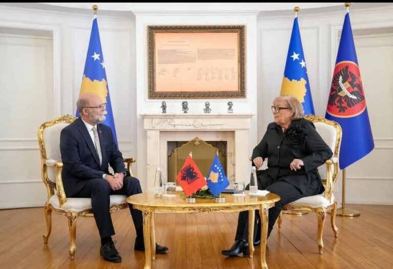 Ambasadori Malaj takim me Presidenten e Kosovës: Jemi pranë jush në rrugën drejt BE-së