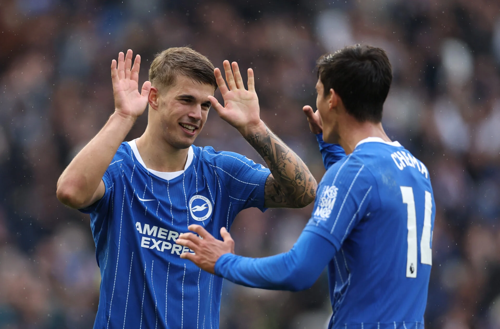 Bayerni, Barcelona dhe Chelsea hidhen në sulm për mbrojtësin kroat të Brighton