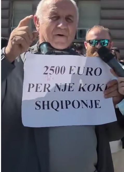 “2500 euro për një kokë shqiponje” protestuesi tregon si zgjidhet kjo situatë